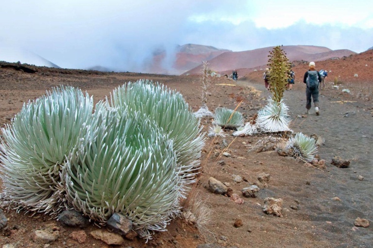 haleakalaecotours hiking haleakala road