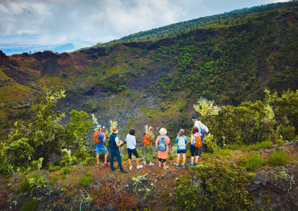 hawaii forest hidden craters hike hidden crater slide