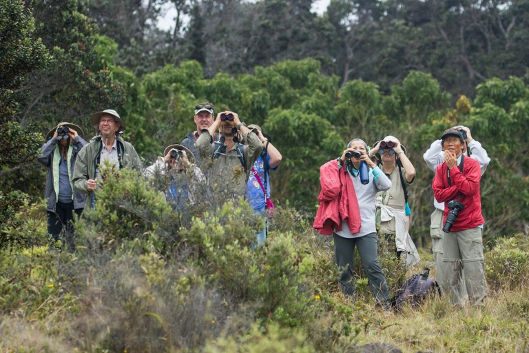 hawaii forest nature lovers birdwatchers guests watching birds 