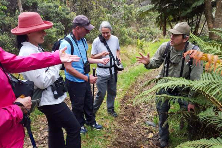 hawaii forest nature lovers birdwatchers guide