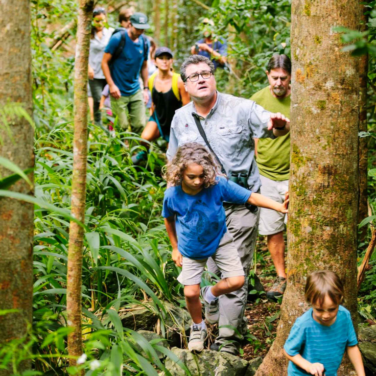 hawaii forest nature lovers birdwatchers into forest