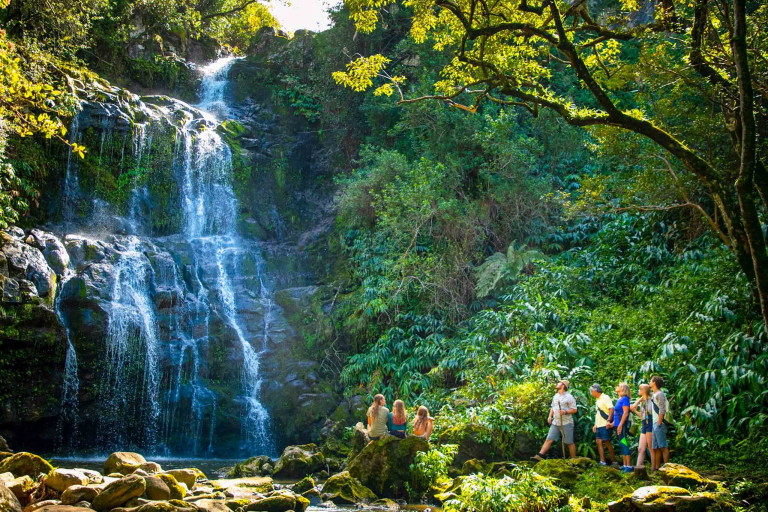 hawaii forest nature lovers birdwatchers waterfall