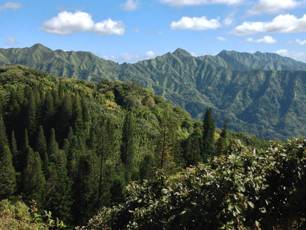 hike through nature for incredible views oahu bike hawaii