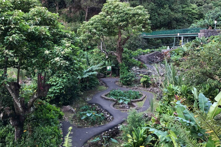 iao valley state park stream view
