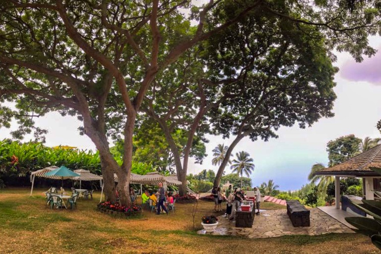 kapohokine ultimate circle island explorer local private coffee farm lunch