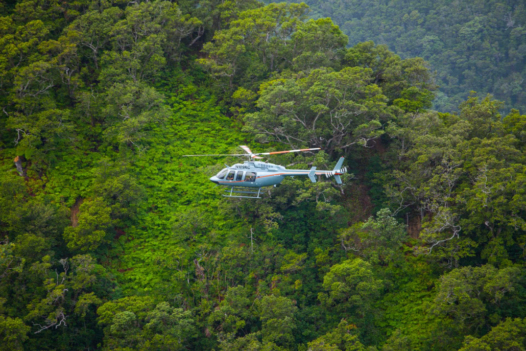 kohala rainforest big island paradise helicopters