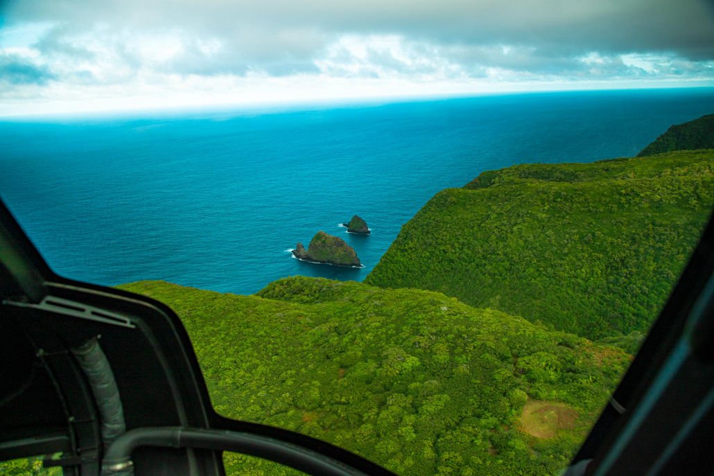 marvel at the beautiful rainforest of the hamakua coast big island on a helicopter tour hawaii