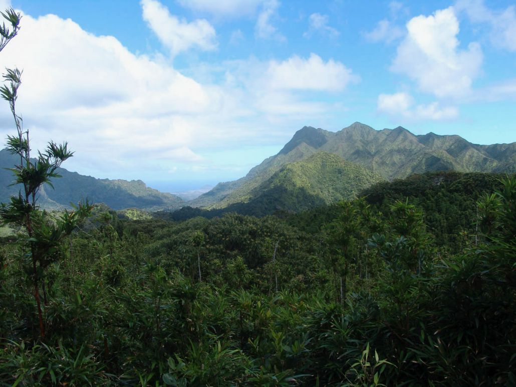 scenic views of oahu mountains bike hawaii