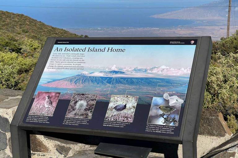 the nene goose hawaiis state bird is found nowhere else in the world haleakala national park maui feature