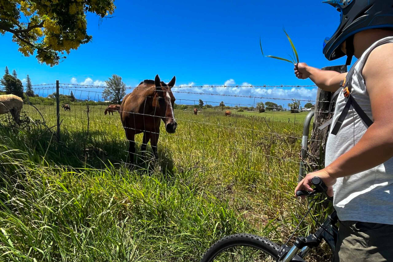 mountainriders guest photo haleakala self guided bike tour haleakala downhill self