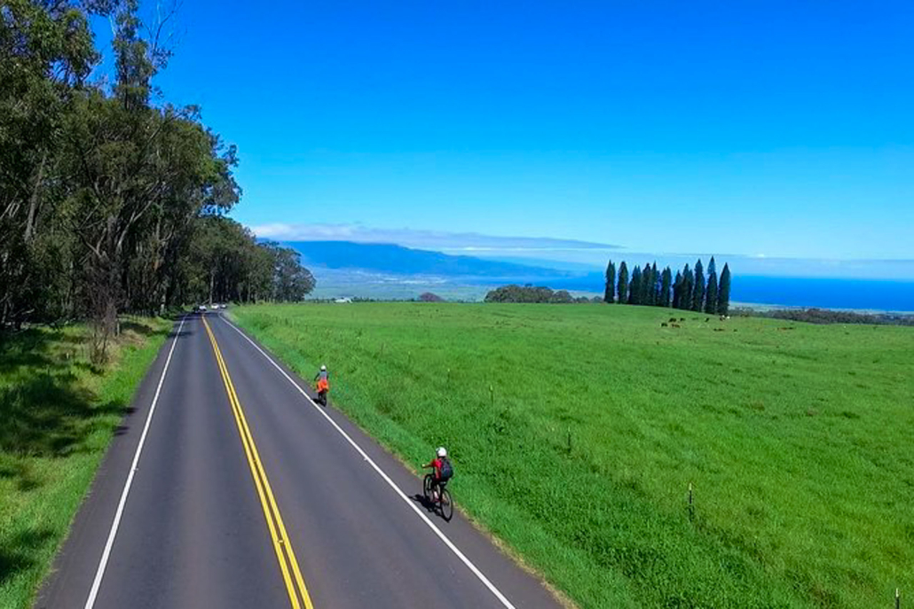mountainriders haleakala self guided bike tour upcountry farm