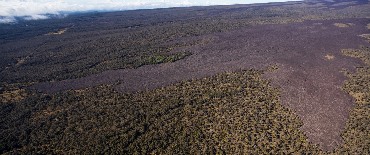 the stalled flow front of the  eruption mauna loa overflight paradise helicopters big island july
