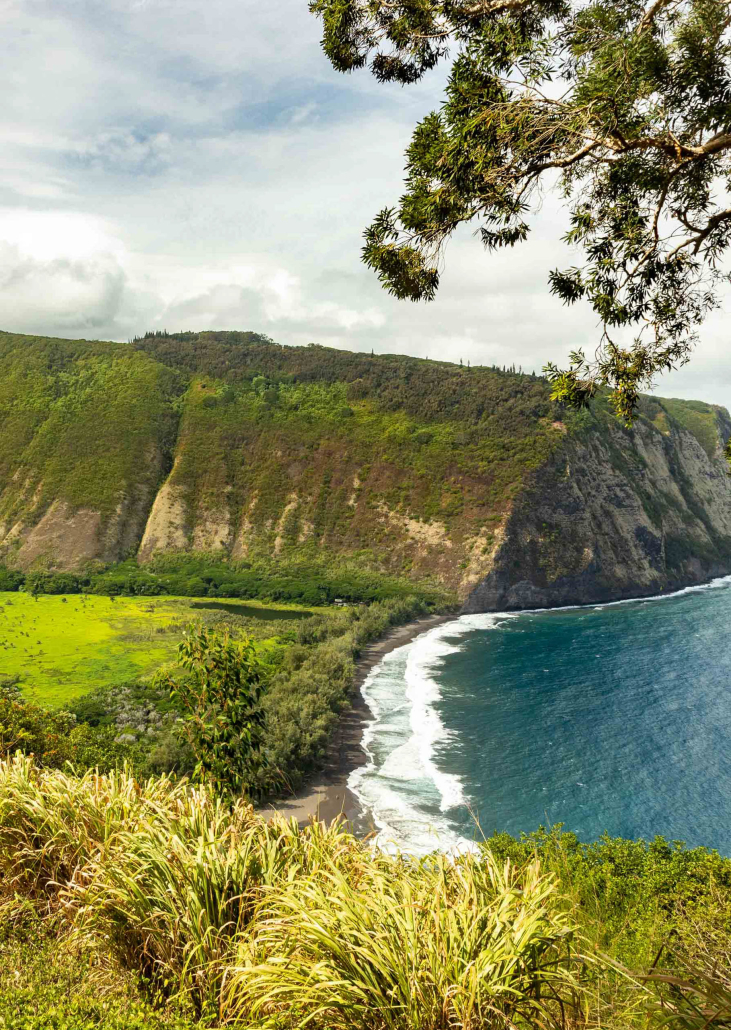 waipio valley overlook with trees big island hawaii