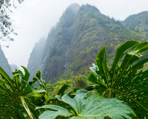 polyad featuring haleakala and Iao valley iao valley morning