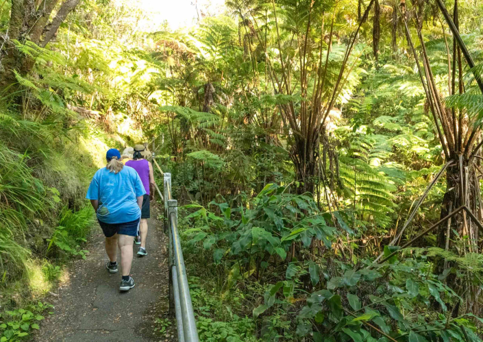 big island top attractions lava tube path fern trees slide